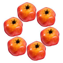 Ornáidí Torthaí Pomegranate Insamhalta 6 phíosa