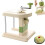 Cabbage shredder and slicer for sauerkraut with adjustable 1