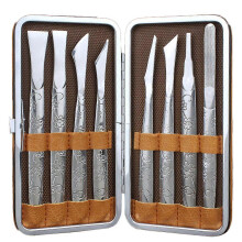 Professional Pedicure Supplies for Ingrown Toenail Treatment and Foot Repair with 8 Razor Edged Blades Ergonomic Design PU Storage Case