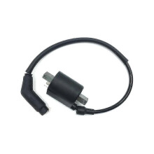Bobine d'allumage haute performance 22012 compatible avec les modèles Linhai EFI ATV UTV 260 300 400 500 520 550