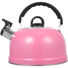 Pink Stainless Steel Electric Kettle 20 x 19 x 18.5 cm