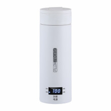 Portable Electric Kettle 500 ml White