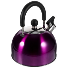 Purple Stainless Steel Whistling Kettle 2.5L