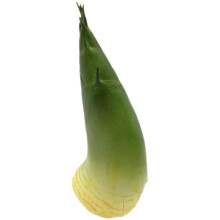 Spring Bamboo Shoot Statues Fake Vegetable Models Adorable Decor Children Toys