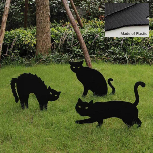 Comhartha Clós Scáthchruth Cat Dubh Oíche Shamhna