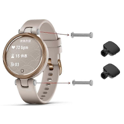 Replacement Spring Bars Set compatible with Garmin Lily Quick Release 1.64cm Silver with Installation and Removal Tools