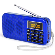 Radio portatile con batteria da 3000 mAh, sintonizzatore digitale FM, 30 ore di riproduzione, sveglia e torcia a LED.