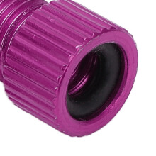 Adaptateurs Presta vers Schrader (lot de 2), compatibles avec les valves de pneus de vélo, en alliage d'aluminium et caoutchouc.