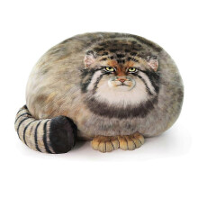 Pallas Cat Plush Pillow Cute Steppe Cat Stuffed Animal 45 x 32 x 23cm PP Cotton Filling Soft Fabric As Shown Colour for Sofa Bedroom Use
