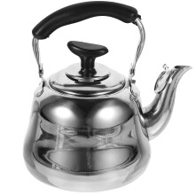 Bouilloire en acier inoxydable 1,7 L
