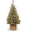 Pre-lit 3 ft Mini Christmas Tree with Warm White LEDs and 1