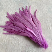 Rooster Tail Feathers Natural Beige Light Purple 50pcs