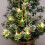 LED julelyskæde med julemands- og trædesign 1