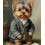 Yorkshire Terrier Blechschild Wanddekoration 8x12 Zoll 1