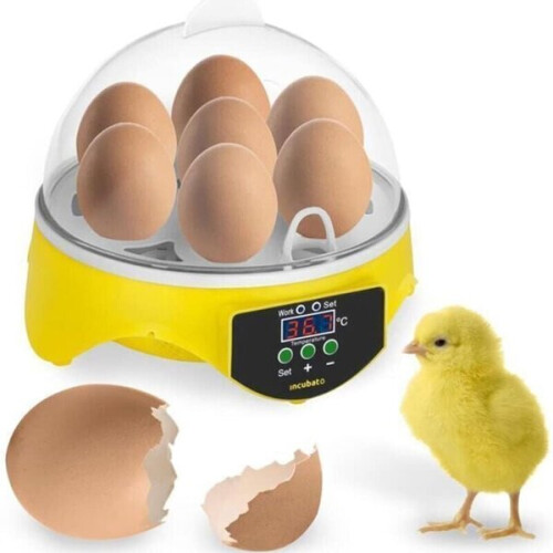 Egg Incubator 7 Egg Fully Automatic Digital, 175x175x160mm Compact Size, Smart Temperature Control 38 for Poultry Birds