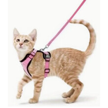 Verstelbaar kattentuigje in roze met reflecterende strip voor veiligheid 's nachts en een comfortabele pasvorm.