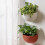 2Pcs Half Round Imitation Rattan Pot 1