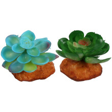 2 Pcs Artificial Succulent Ornament, Pet Box Plant Decor for Micro Landscape Adornment