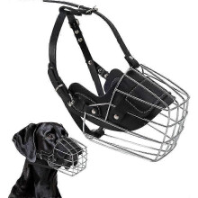 Museruola anti-morso per Bull Terrier, strumento addestramento con cestello in filo metallico traspirante e imbottitura in neoprene