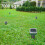 8 Pack Solar Powered Snake Repellent for Outdoors 9