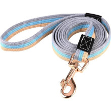 Duurzame, antislip hondenriem van 2 meter, geschikt voor kleine, middelgrote en grote honden (blauw).