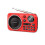 Portable Radio Bluetooth Speaker Pocket-Size with FM, Recording Function and TF/USB Playback 1