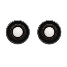 Camera Lens Glass Replacement compatible with DJI Osmo 360 Black 2-Piece Set Spare Repair Accessory