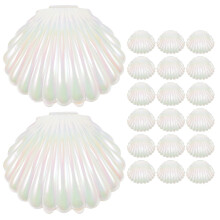 20pc White PP Seashell-Shaped Gift Boxes