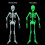 Squelette complet phosphorescent de 1,5 m (5 pieds) 1