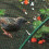 BELLE TECH Vogelbeschermingsnet - 4 x 10 m 1
