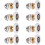 Shrimp 8-piece Replacement Wheel for Shower Door Roller, 25mm Diameter 1