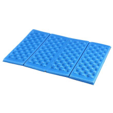 Tapis de Sol Imperméable Pliable 2 Places en XPE, Léger pour Pique-nique et Camping Bleu