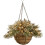 Cesta colgante artificial preiluminada Crestwood Spruce 1