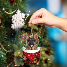 Christmas Dog Ornaments Double-Sided 12-Pack