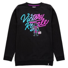(13-14 Years, Black/Blue/Purple) Fortnite Boys Victory Royale Sweatshirt
