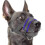 Dog Muzzle Nylon Soft Padding, Adjable Loop 25-26 1