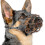 (6, Camouflage) Dog Muzzle, Silicone Basket Muzzle For Small Medium Large Dogs, Soft Cage Muzzle Prevent Biting Chewing, Allow Drinking Panting 1