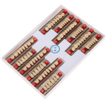 Synthetic resin teeth - SONEW - A3 - Dental prosthesis - Durable material - Suitable for dentists