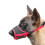 (M, Red) Dog Muzzle, Soft Nylon Anti-dropping Muzzle, Air Mesh Breathable Drinkable Dog Muzzle With Adjustable Loop 1