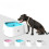 Drinking Water Dispenser for Cats and Dogs 1