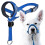 blue (M)Dog Muzzle, Updated More Comfortable Prevent Biting Barking Beking Behavior Training Soft Adjustable Reflective Nylon Mouth Cover 1