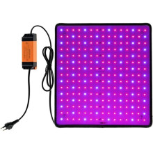 1000W LED Grow Light for Growth and Flowering, 225 LEDs, Full Spectrum Indoor Grow Panel