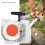 VIE Chainsaw Pull Starter Chain Puller for Stihl 029 039 MS290 MS390 MS310 FD017 1