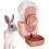 Automatic rabbit water dispenser - White - 800ml - Leak-proof 1
