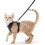 Cat Harness and Lease for Walking, Escape Proof Adjustable Vest with Reflective Strips 1
