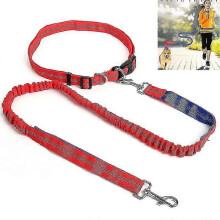 Guinzaglio elastico in nylon per cani, retrattile con elastico per passeggiate e addestramento, grigio e verde