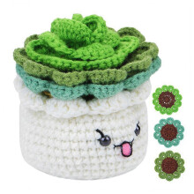 DIY-Häkel-Untersetzer-Set für Anfänger mit Garn, Häkelnadel und Video-Anleitung für Pflanzendekoration
