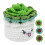 DIY Crochet Coaster Kit for Beginners with Yarn, Hook, Video Tutorial for Plant Decor 1