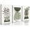 Σετ 3 τεμαχίων από καμβά σε χρώμα Sage Green Boho – 12x16 εκ. 1