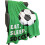 Manta de lã esportiva 50x60 polegadas, estampa de futebol. 1